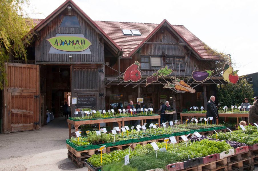 Jungpflanzenmarkt am BioHof ADAMAH (c) BioHof ADAMAH