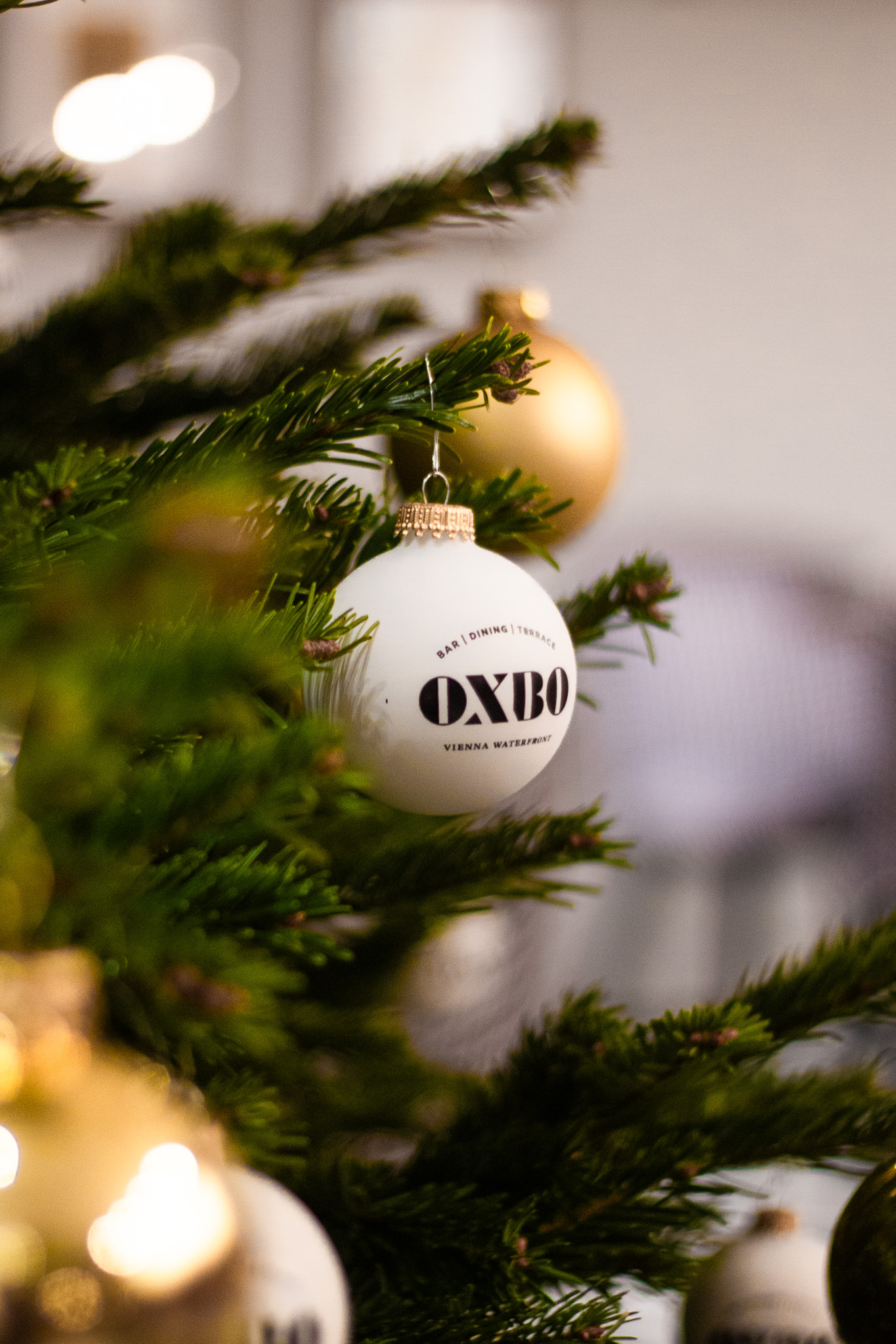 OXBO Vienna Waterfront Hosts Christmas Buffet with Live Music